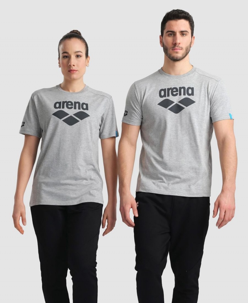 Grise T-Shirt Arena Logo Coton - ZHS-8008386