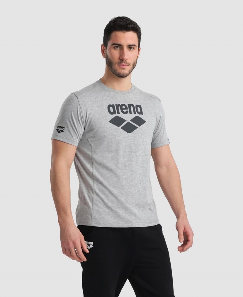 Grise T-Shirt Arena Logo Coton - ZHS-8008386