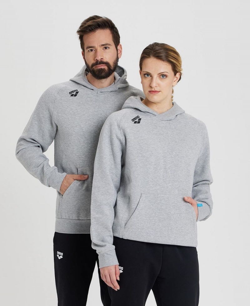 Grise Sweatshirt Arena Team Encapuchonné Panel - TSM-8530105