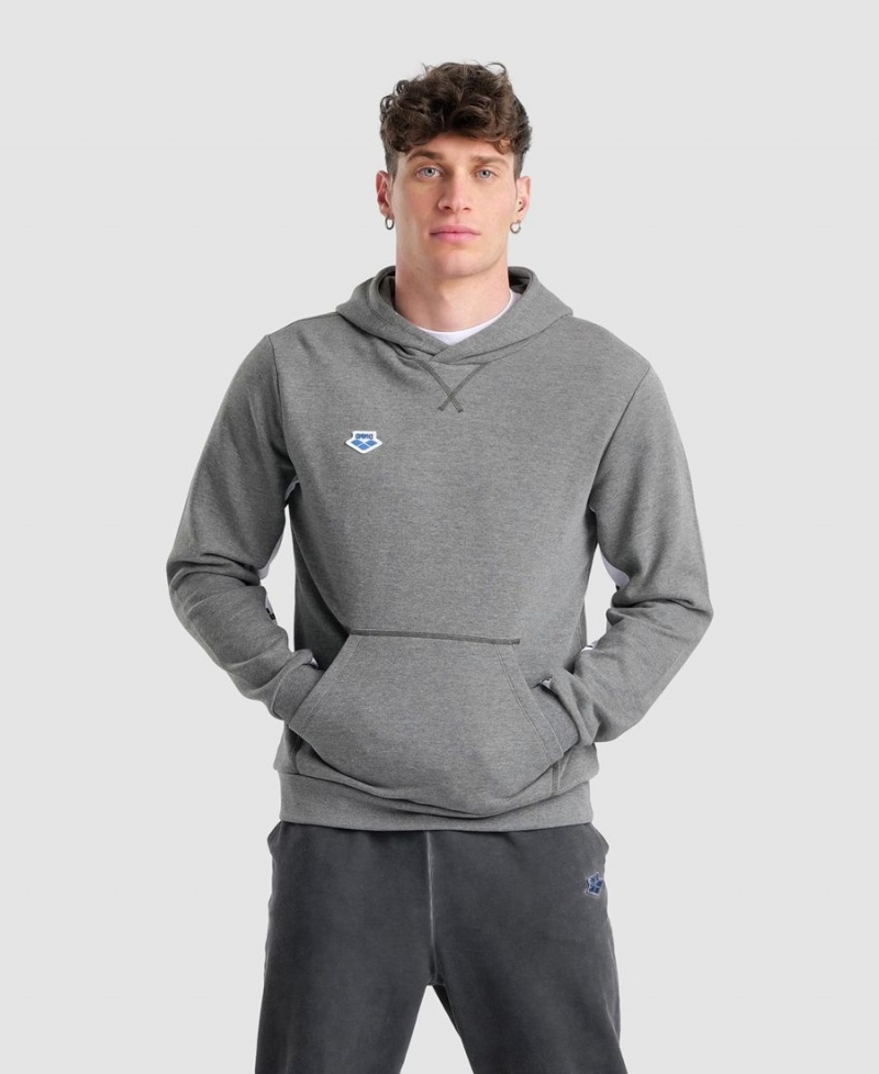 Grise Sweatshirt Arena Icons Solid Encapuchonné - TLG-8409293