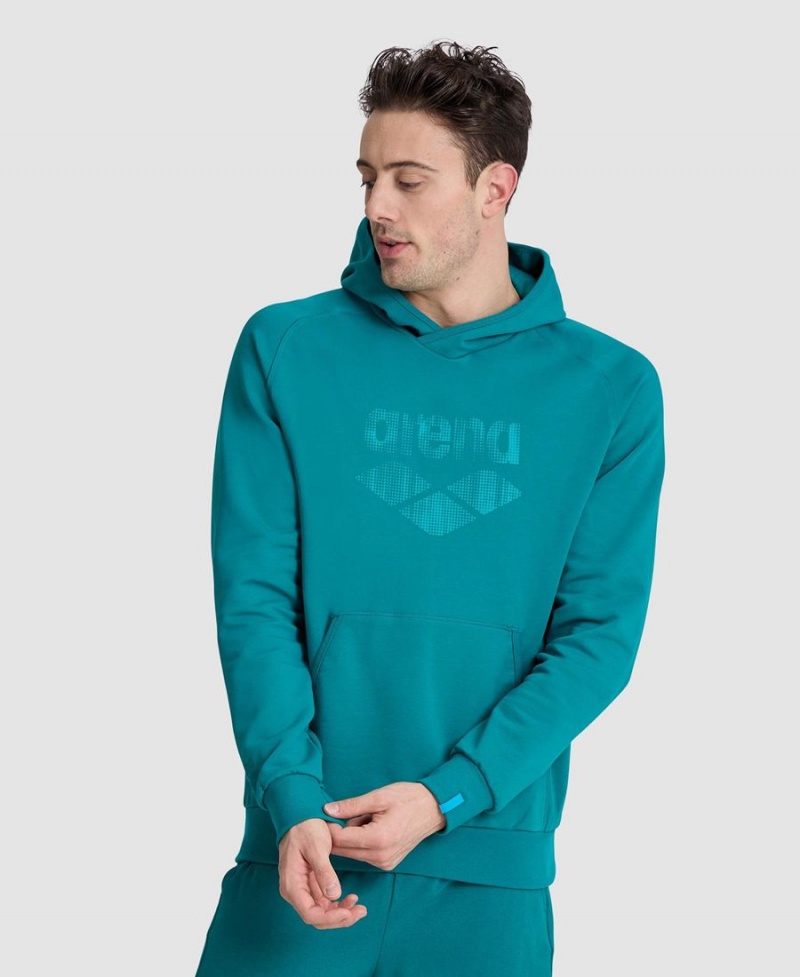 Vert Sweatshirt Arena Logo Encapuchonné - VLM-0540685