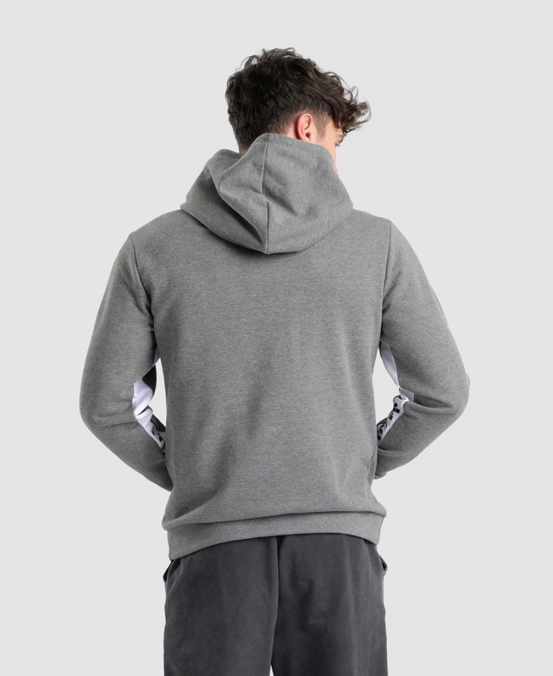 Grise Sweatshirt Arena Icons Solid Encapuchonné - TLG-8409293