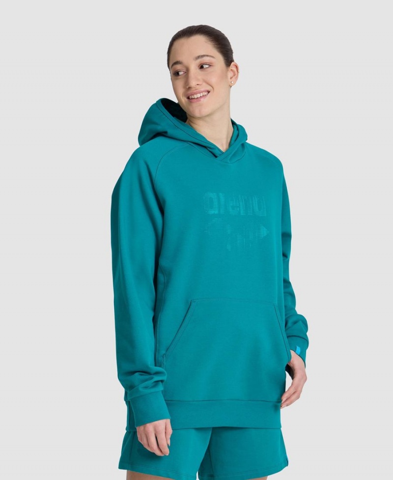 Vert Sweatshirt Arena Logo Encapuchonné - VLM-0540685