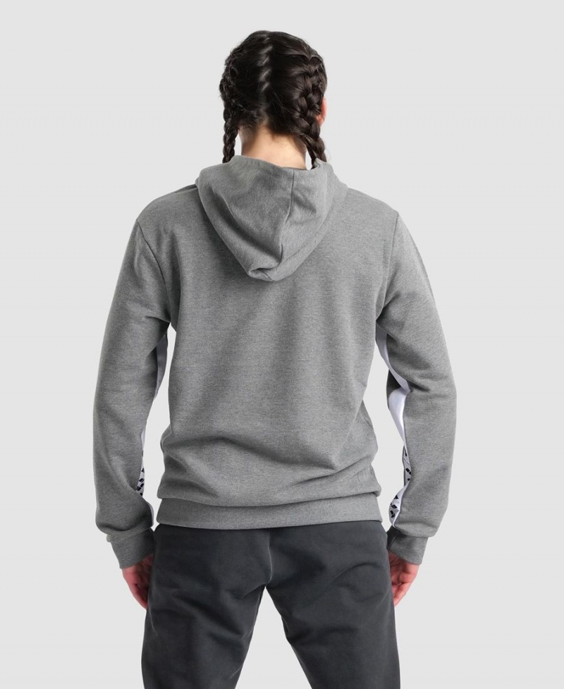 Grise Sweatshirt Arena Icons Solid Encapuchonné - TLG-8409293