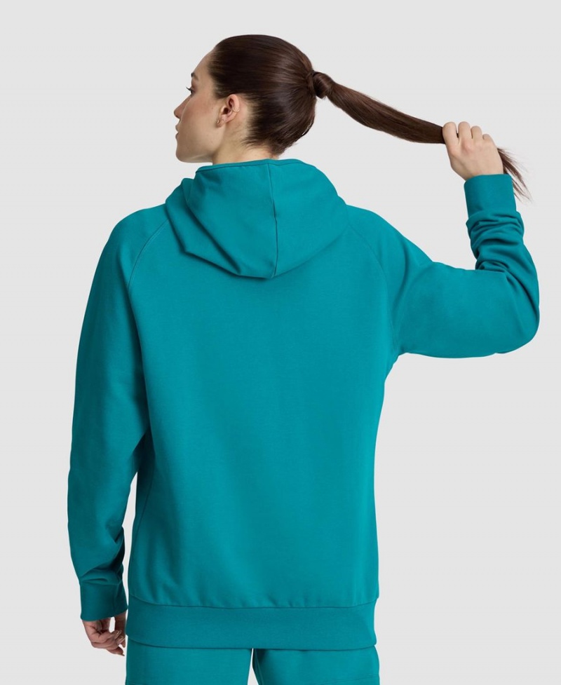 Vert Sweatshirt Arena Logo Encapuchonné - VLM-0540685