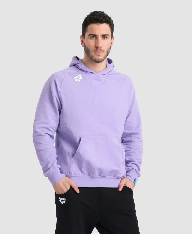 Violette Sweatshirt Arena Team Encapuchonné Panel - DCG-4740293