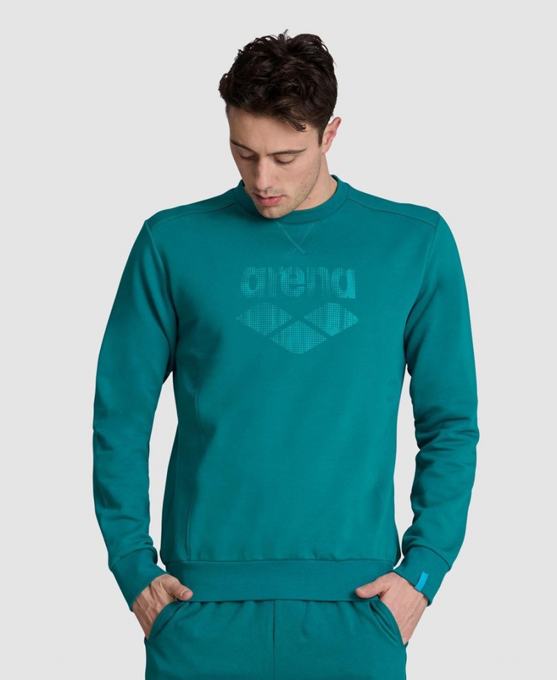 Vert Sweatshirt Arena Logo Crewneck - XRF-3273596