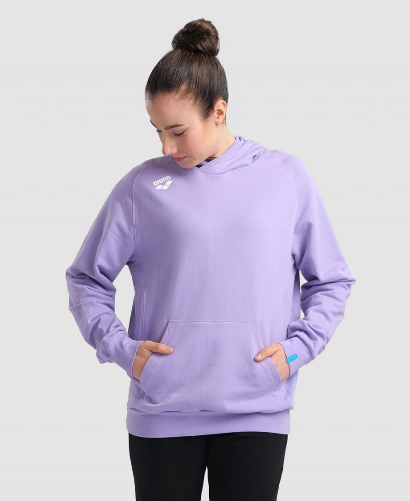 Violette Sweatshirt Arena Team Encapuchonné Panel - DCG-4740293