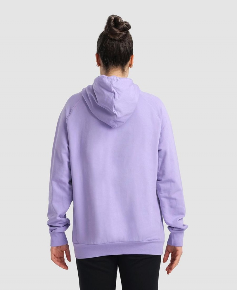 Violette Sweatshirt Arena Team Encapuchonné Panel - DCG-4740293