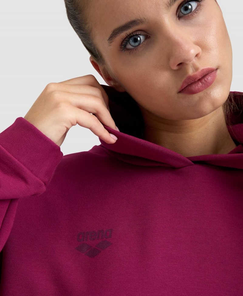 Rouge Sweatshirt Arena Encapuchonné Fleece - HMB-2599884