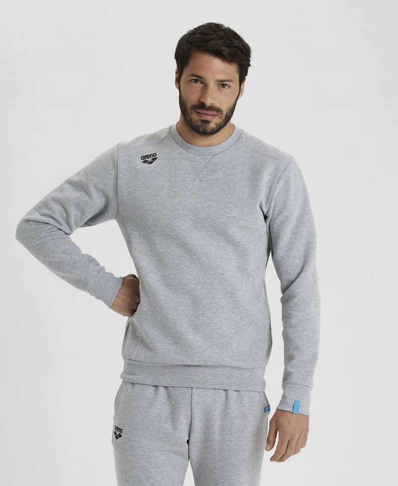 Grise Sweatshirt Arena Solid Crewneck - JSY-4784629