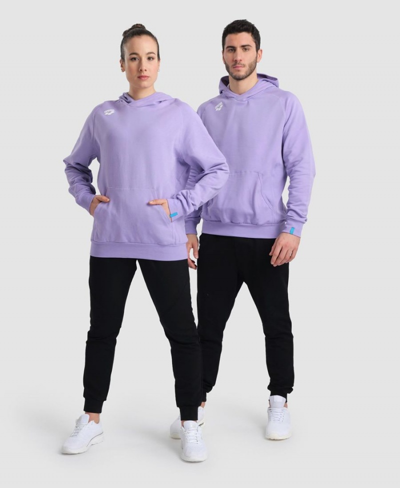 Violette Sweatshirt Arena Team Encapuchonné Panel - DCG-4740293