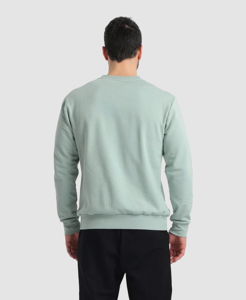 Vert Sweatshirt Arena Solid Crewneck - YFD-5077233