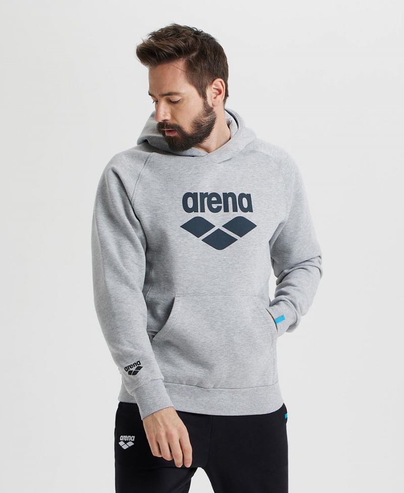 Grise Sweatshirt Arena Logo Encapuchonné - OVV-0189381