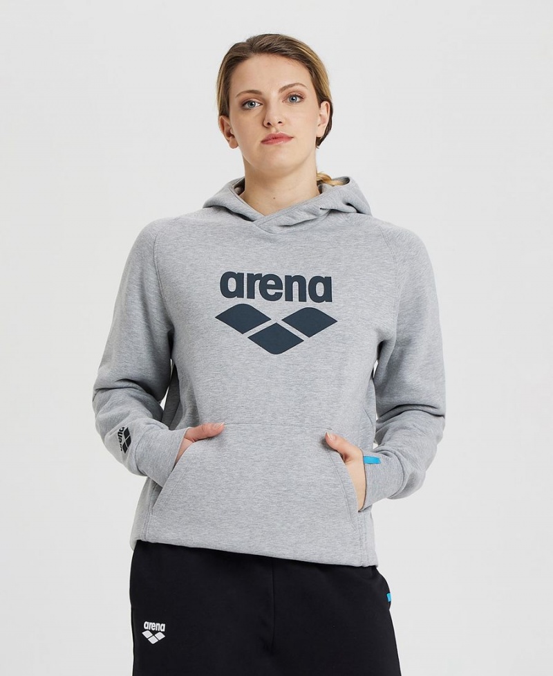 Grise Sweatshirt Arena Logo Encapuchonné - OVV-0189381