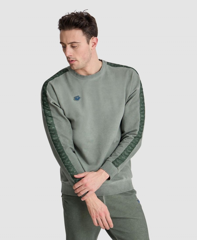 Vert Sweatshirt Arena Icons Oversize - LPI-9011285