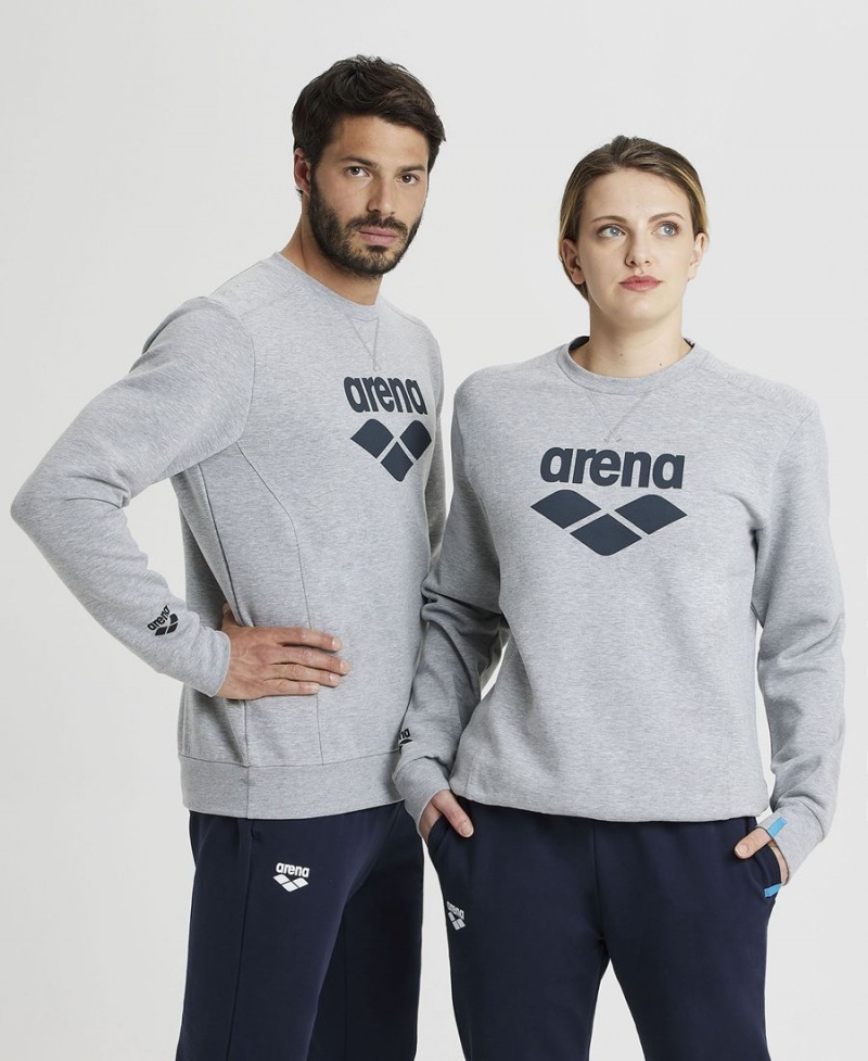 Grise Sweatshirt Arena Logo Crewneck - AZI-4546990