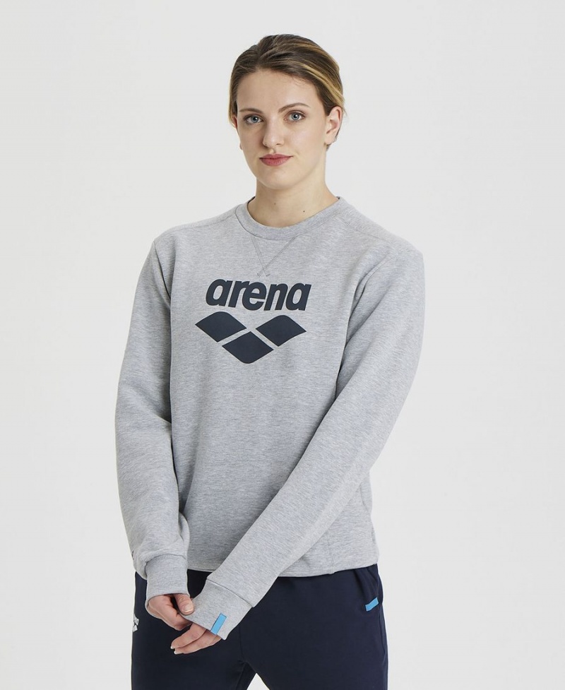 Grise Sweatshirt Arena Logo Crewneck - AZI-4546990