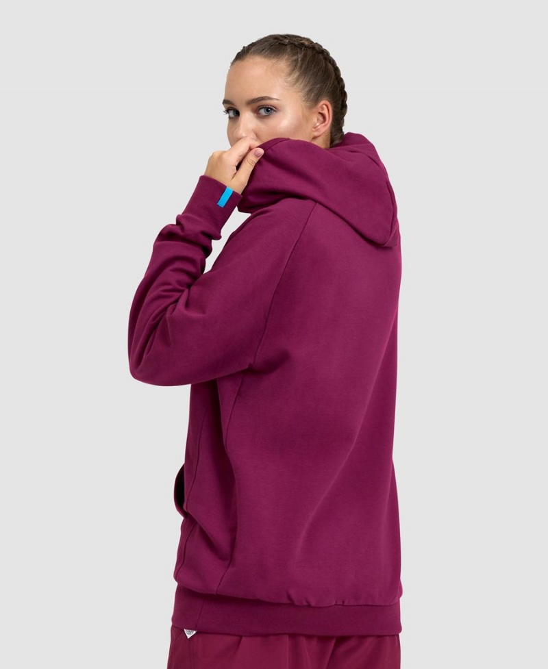 Bordeaux Sweatshirt Arena Logo Encapuchonné - HXG-9119932