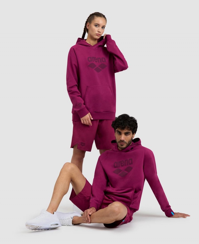 Bordeaux Sweatshirt Arena Logo Encapuchonné - HXG-9119932