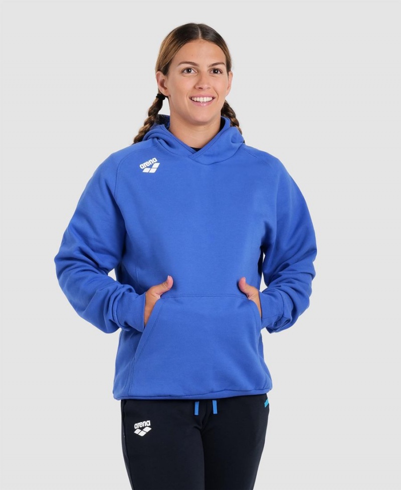 Bleu Sweatshirt Arena Team Encapuchonné Panel - JKR-0341664