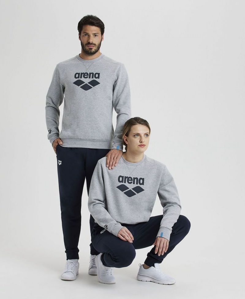 Grise Sweatshirt Arena Logo Crewneck - AZI-4546990