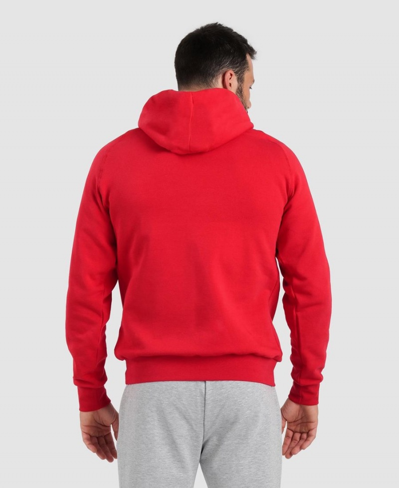 Rouge Sweatshirt Arena Team Encapuchonné Panel - ZKS-3790671