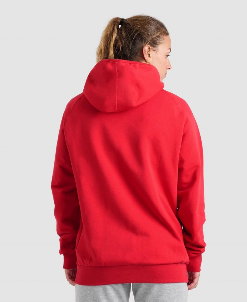 Rouge Sweatshirt Arena Team Encapuchonné Panel - ZKS-3790671