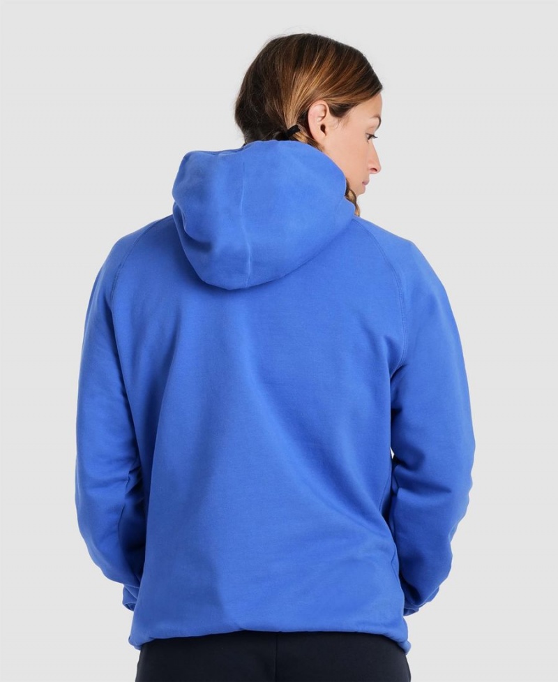 Bleu Sweatshirt Arena Team Encapuchonné Panel - JKR-0341664