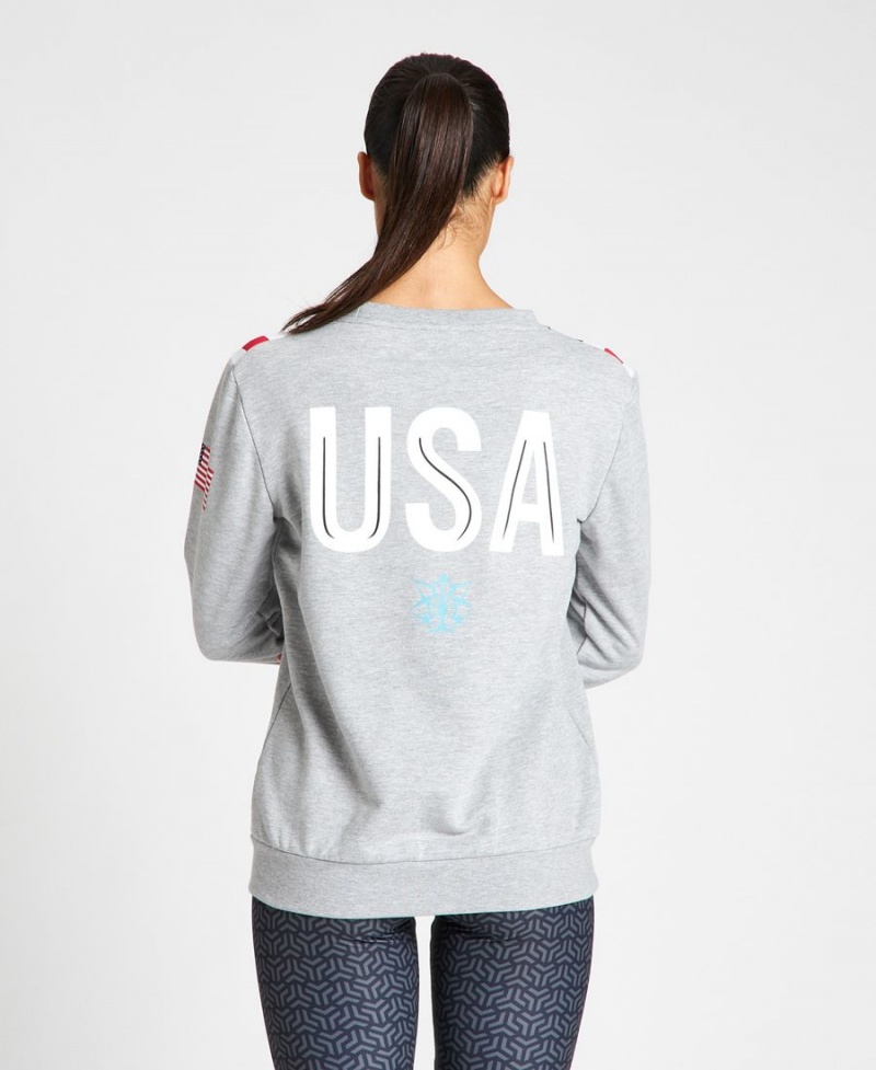 Grise Sweatshirt Arena USA Swimming Team Crewneck - KUT-3099316