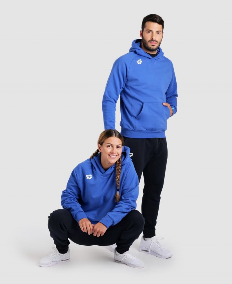 Bleu Sweatshirt Arena Team Encapuchonné Panel - JKR-0341664