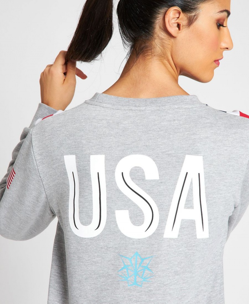 Grise Sweatshirt Arena USA Swimming Team Crewneck - KUT-3099316