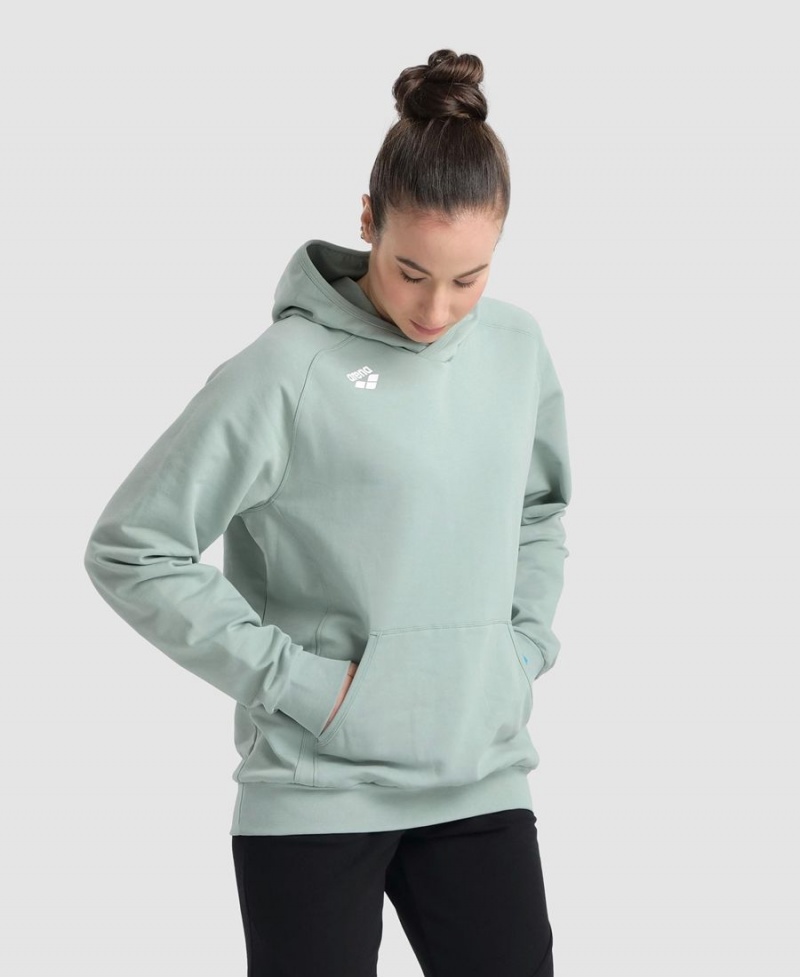 Vert Sweatshirt Arena Team Encapuchonné Panel - LXZ-8869914