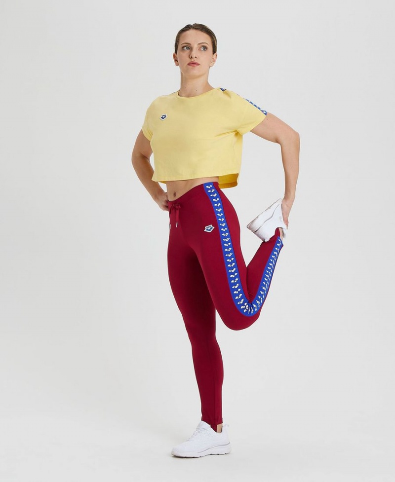 Bordeaux Bleu Pantalon Arena Caroline Team - AVN-0161927