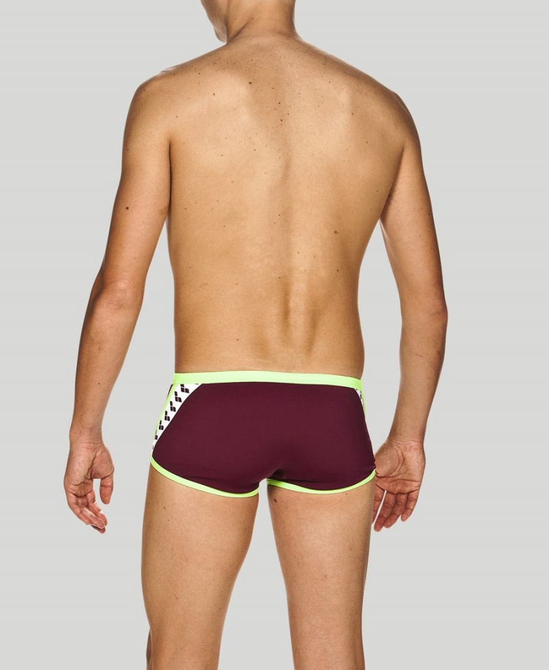 Bordeaux Vert Slip de Bain Arena Team Stripe Square - FMN-1266901