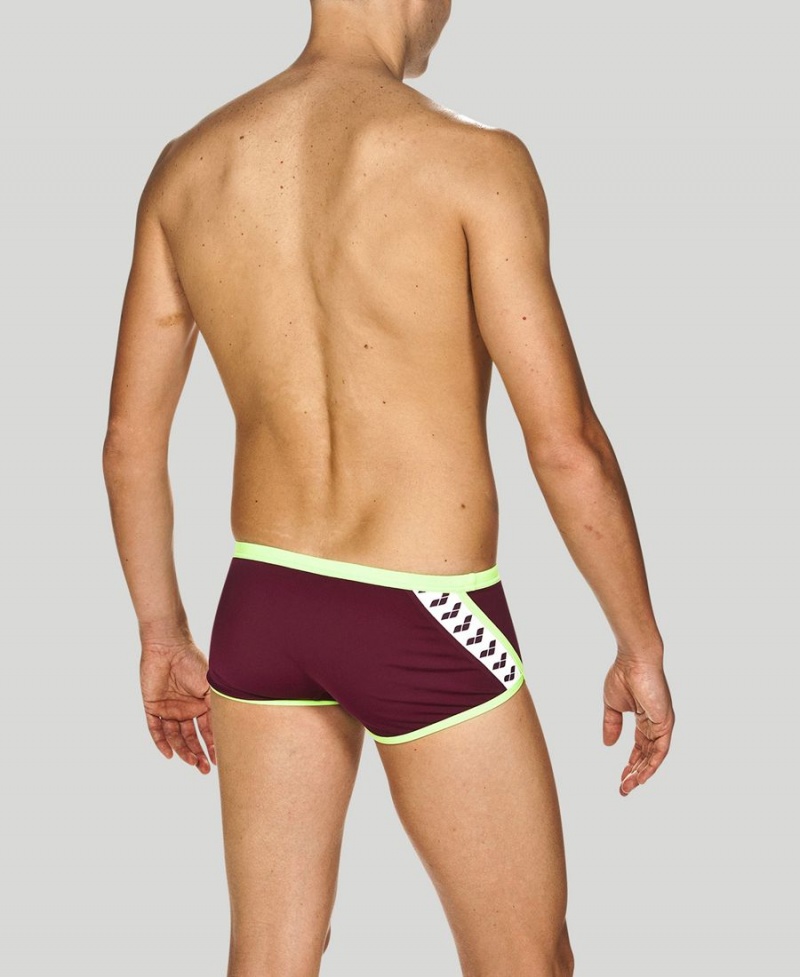 Bordeaux Vert Slip de Bain Arena Team Stripe Square - FMN-1266901