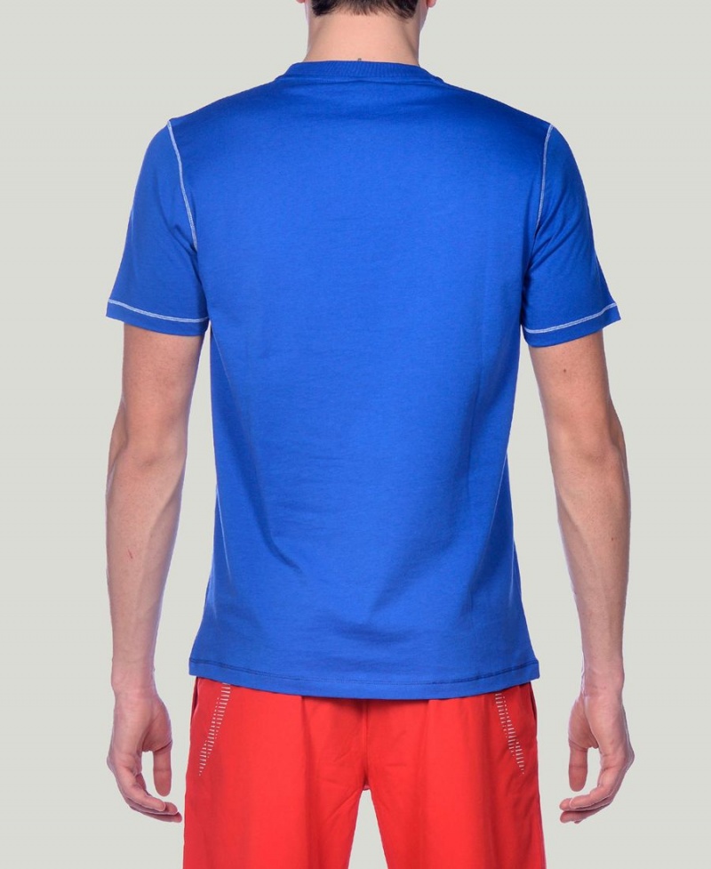 Bleu T-Shirt Arena Team Line Corta Sleeve - SMH-3293324