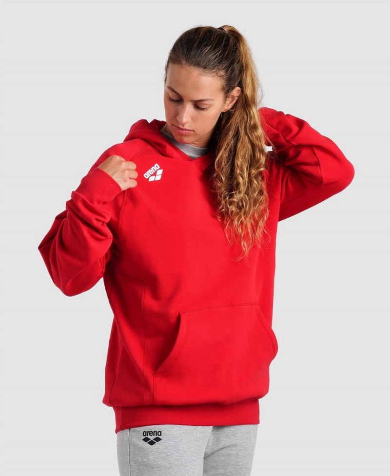 Rouge Sweatshirt Arena Team Encapuchonné Panel - IDU-9904754