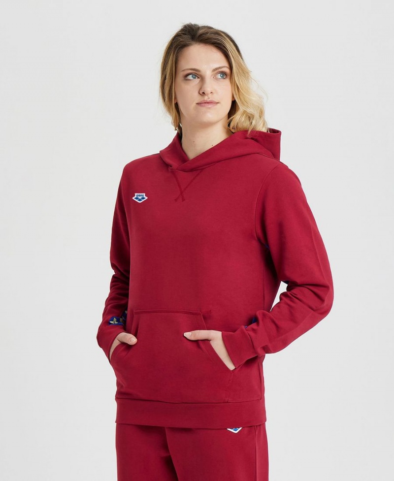 Bordeaux Sweatshirt Arena Icons Solid Encapuchonné - ZMA-0051696