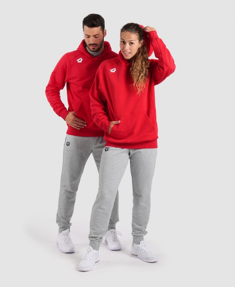 Rouge Sweatshirt Arena Team Encapuchonné Panel - IDU-9904754