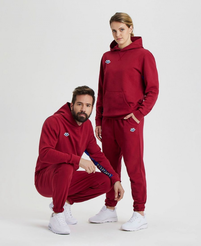 Bordeaux Sweatshirt Arena Icons Solid Encapuchonné - ZMA-0051696