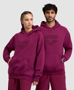 Bordeaux Sweatshirt Arena Logo Encapuchonné - UBV-3752858