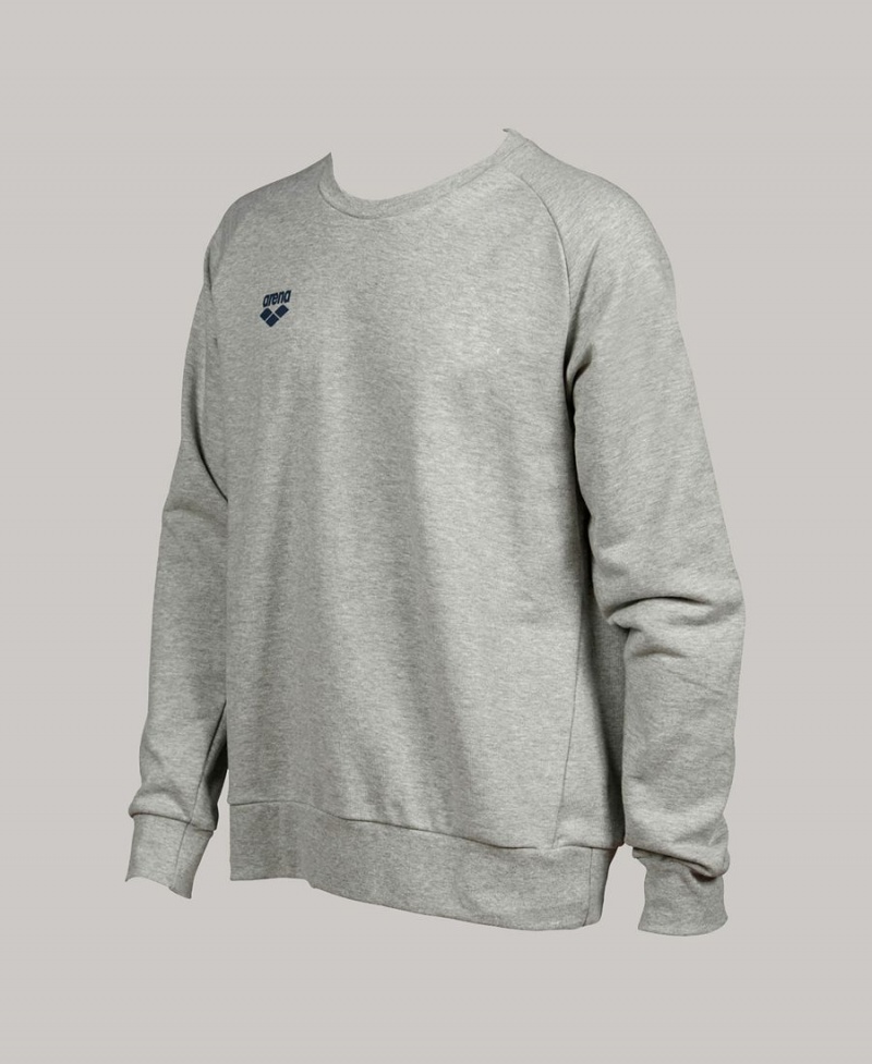 Grise Sweatshirt Arena Essential Crewneck - JYW-5812822