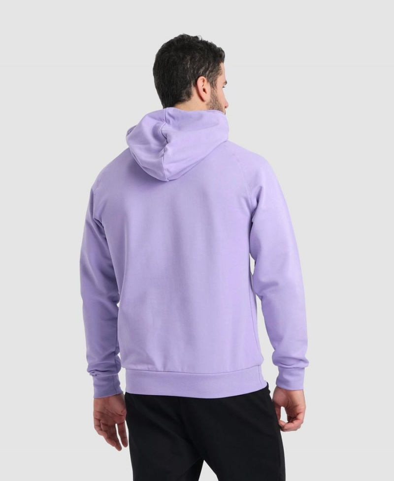 Violette Sweatshirt Arena Team Encapuchonné Panel - RIJ-4218087