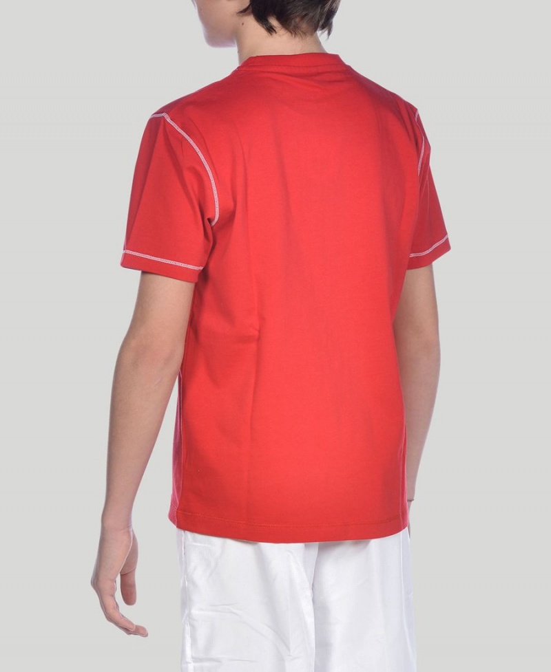 Rouge T-Shirt Arena Youth Team Line Corta Sleeve - GDY-0275392