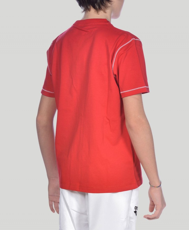 Rouge T-Shirt Arena Youth Team Line Corta Sleeve - GDY-0275392