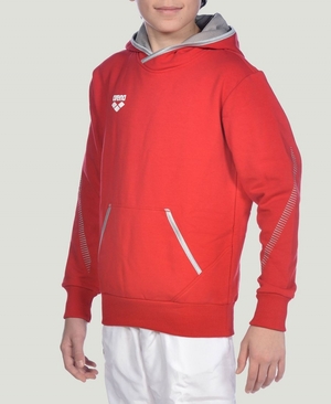 Rouge Sweat a Capuche Arena Youth Team Line Long Sleeve - DBD-7148082