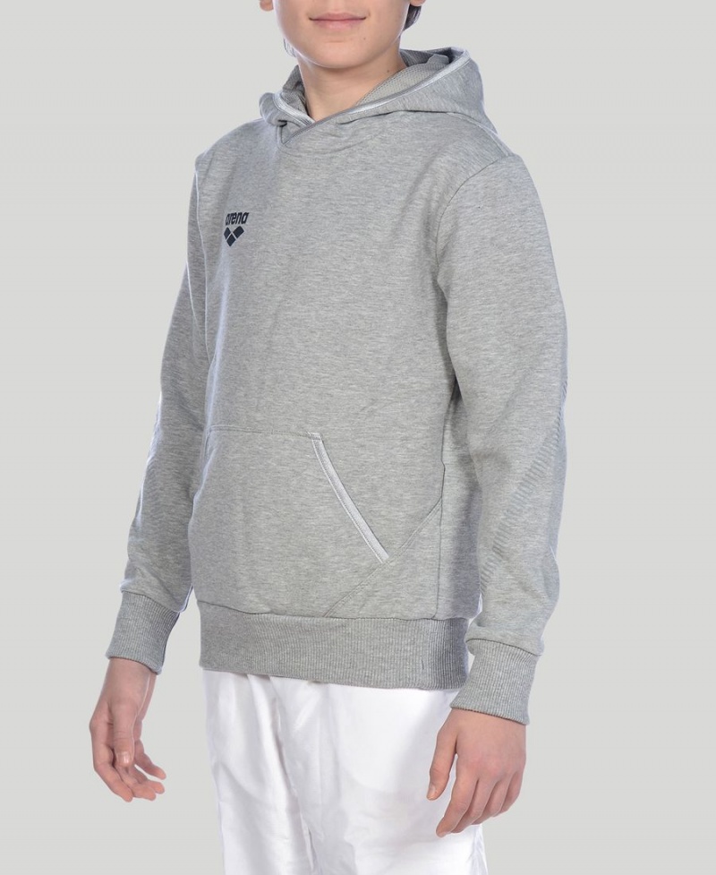 Grise Sweat a Capuche Arena Youth Team Line Long Sleeve - ANJ-6901895