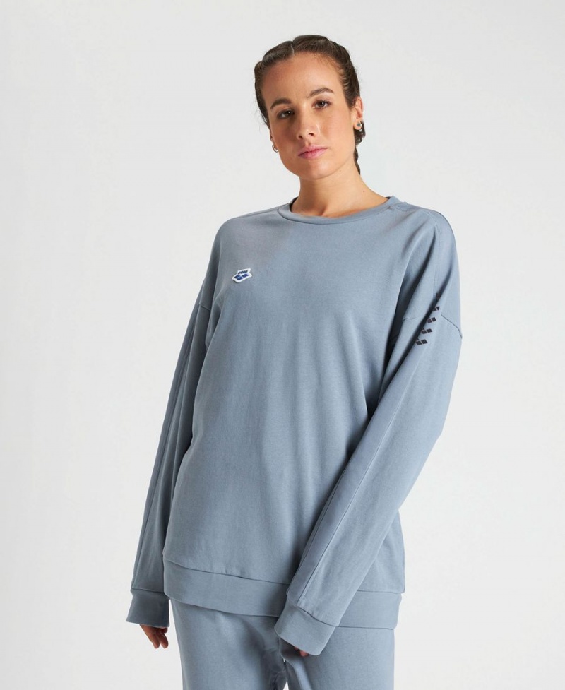 Grise Sweatshirt Arena Oversized Team - DVB-0361826